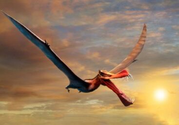 Pterosaur