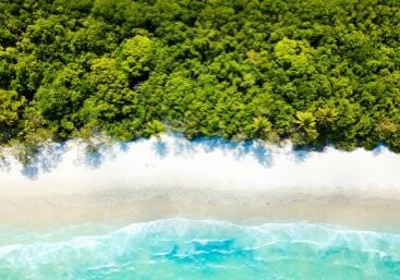 SCI-Global reefs sediment-AdobeStock_230219133